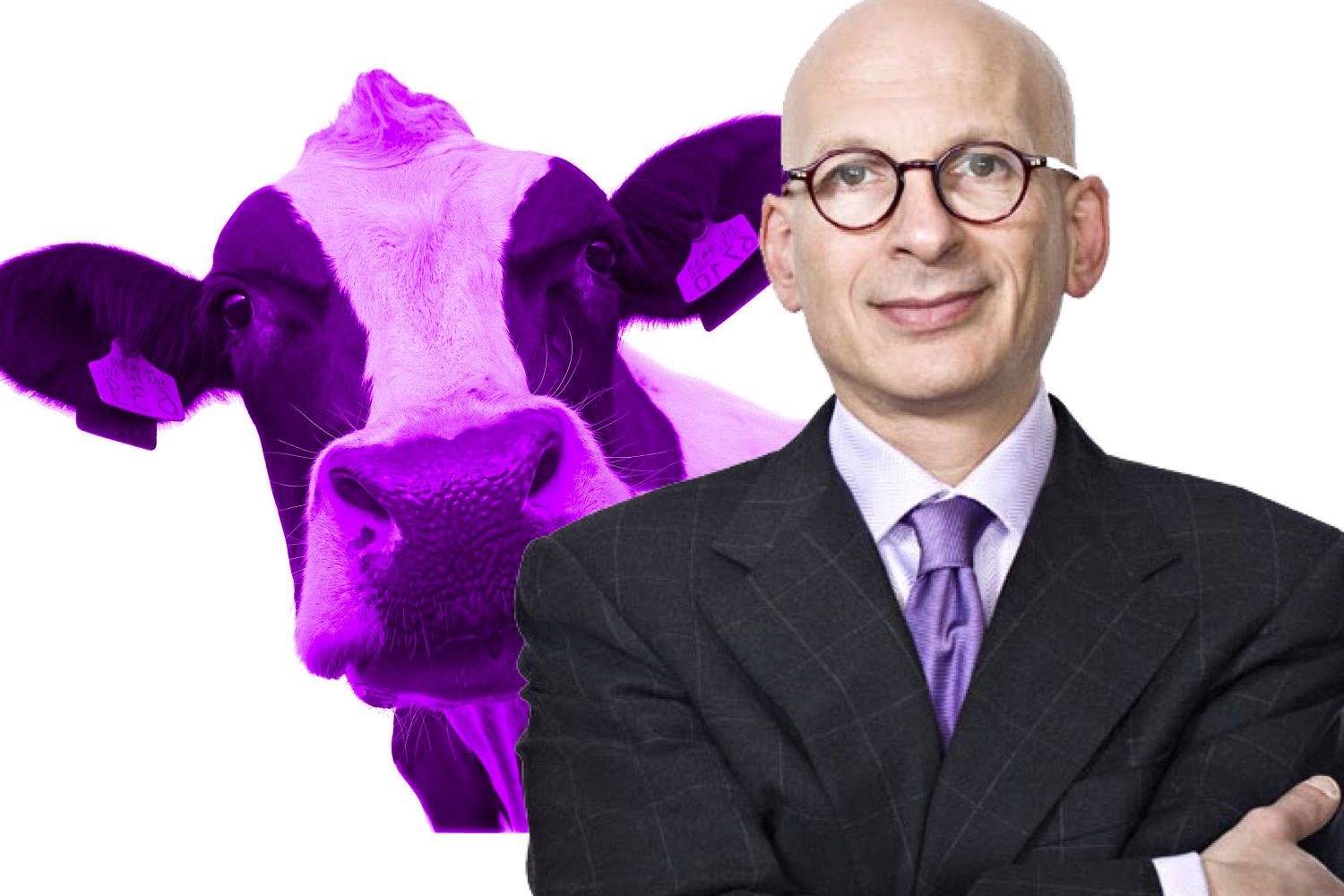 la vaca purpura, la vaca purpura resumen, seth godin